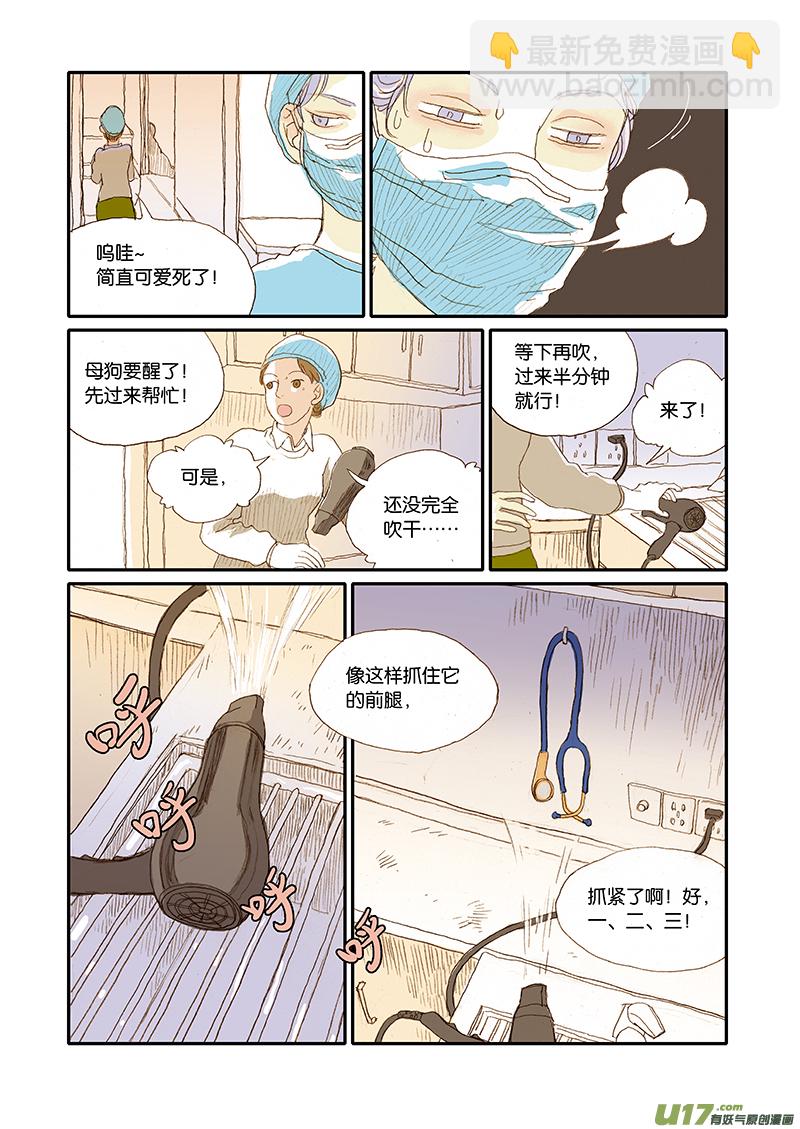 《百足宠物诊所》001犭剖宫产 第17页