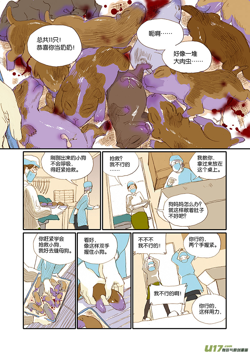 《百足宠物诊所》001犭剖宫产 第6页