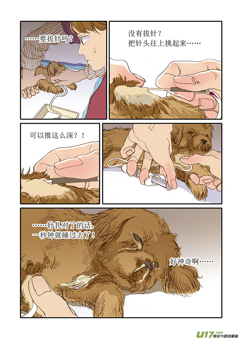 《百足宠物诊所》007 第11页
