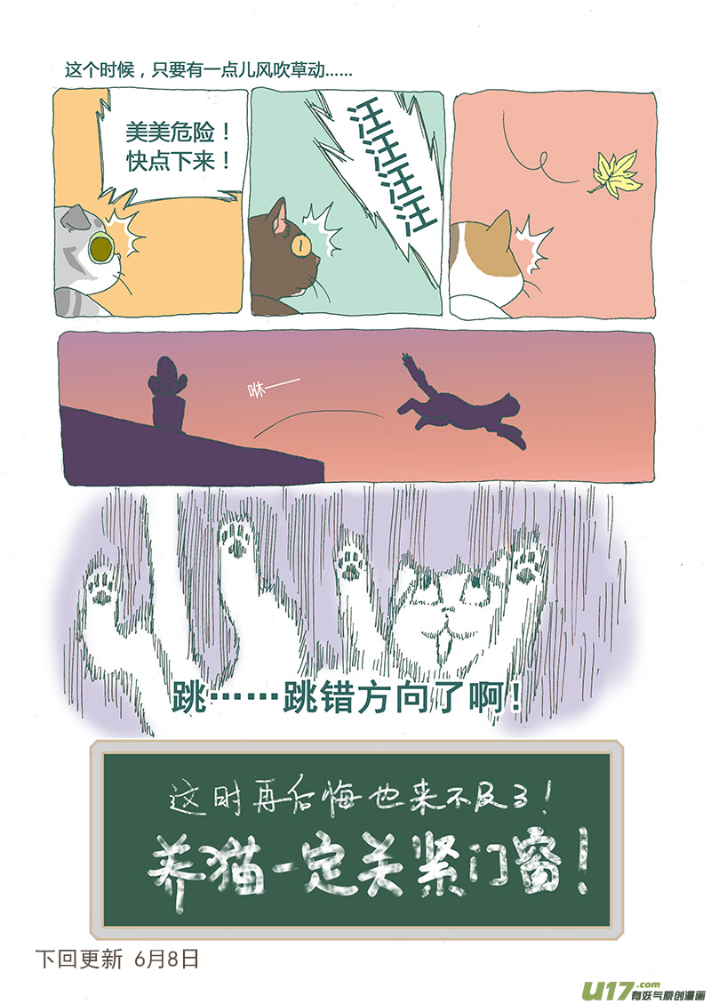 《百足宠物诊所》008 猫坠楼 第10页