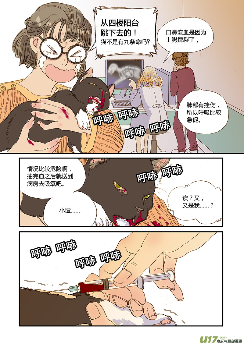 《百足宠物诊所》008 猫坠楼 第5页