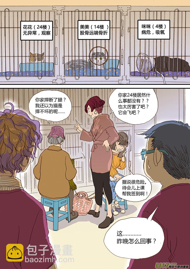 《百足宠物诊所》008 猫坠楼 第7页