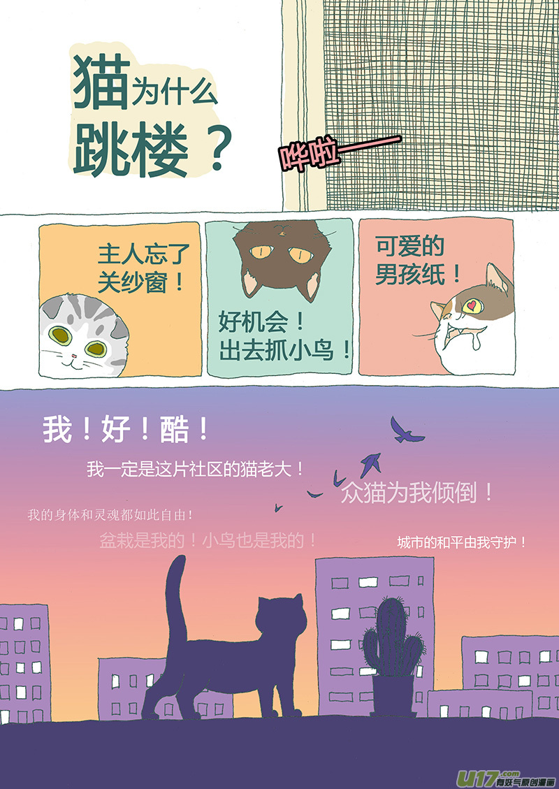 《百足宠物诊所》008 猫坠楼 第9页