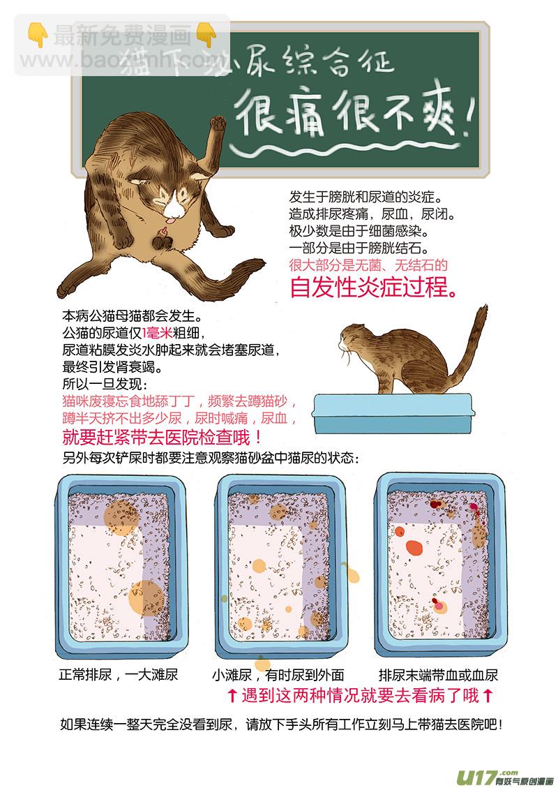 《百足宠物诊所》006 公猫尿闭 第10页