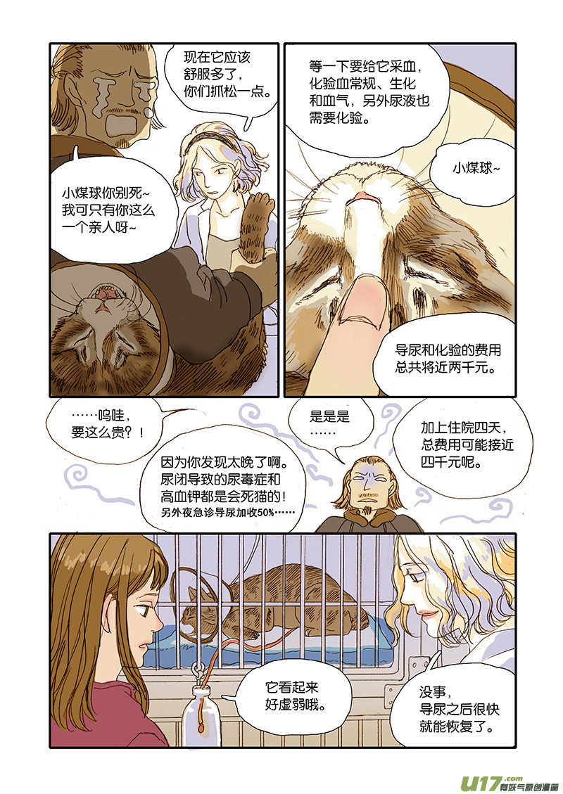《百足宠物诊所》006 公猫尿闭 第5页