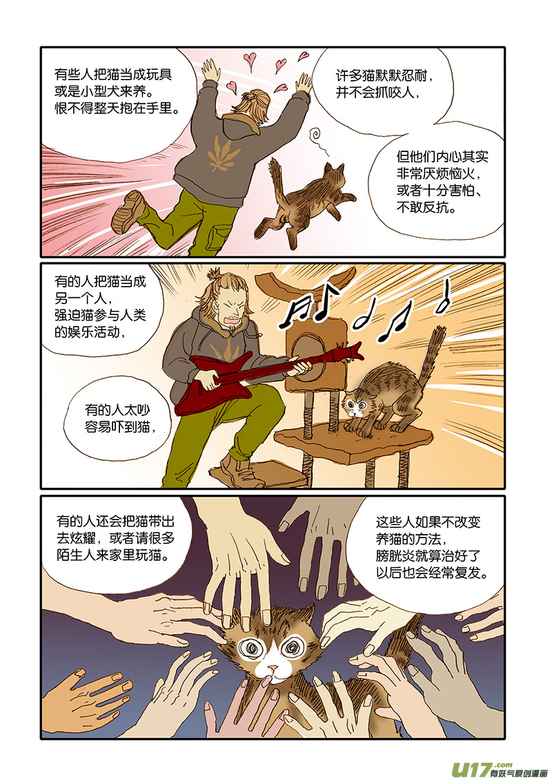 《百足宠物诊所》006 公猫尿闭 第7页