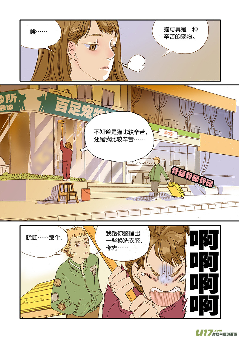 《百足宠物诊所》006 公猫尿闭 第8页