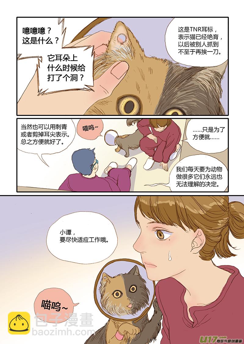 《百足宠物诊所》012 公猫尿道造口 第10页