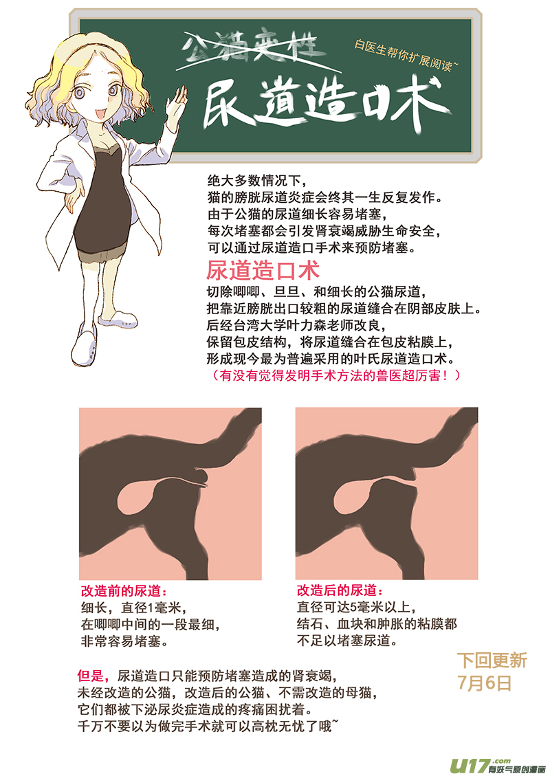 《百足宠物诊所》012 公猫尿道造口 第11页