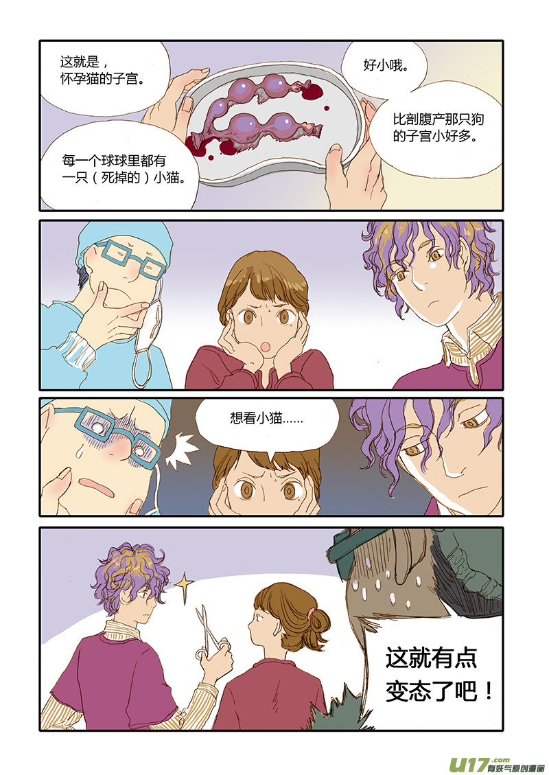 《百足宠物诊所》012 公猫尿道造口 第2页