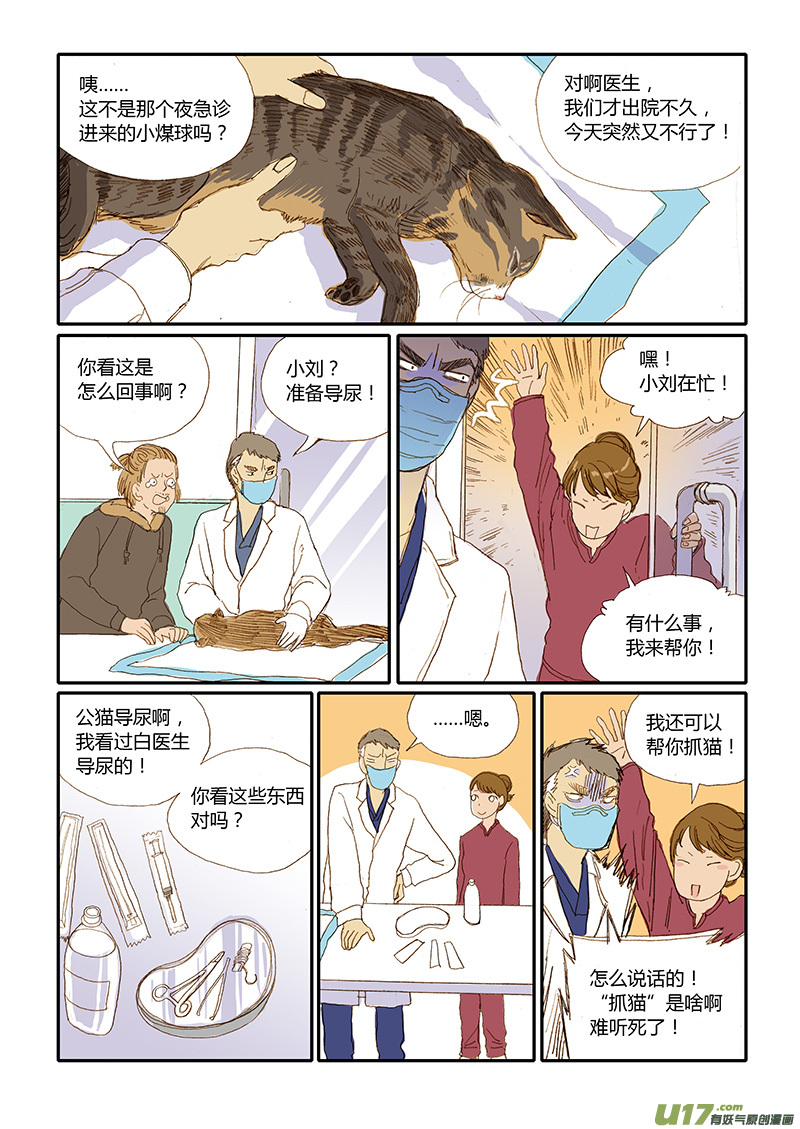 《百足宠物诊所》012 公猫尿道造口 第4页
