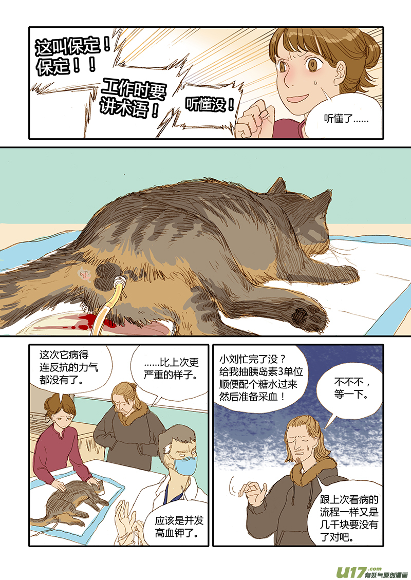 《百足宠物诊所》012 公猫尿道造口 第5页