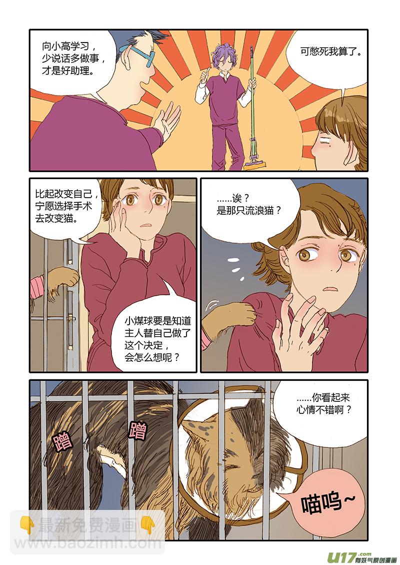 《百足宠物诊所》012 公猫尿道造口 第8页