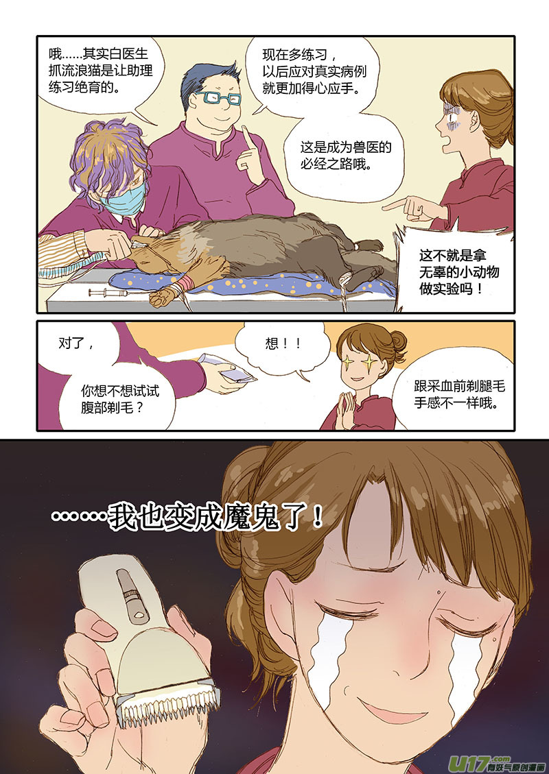 《百足宠物诊所》011 流浪动物TNR 第10页