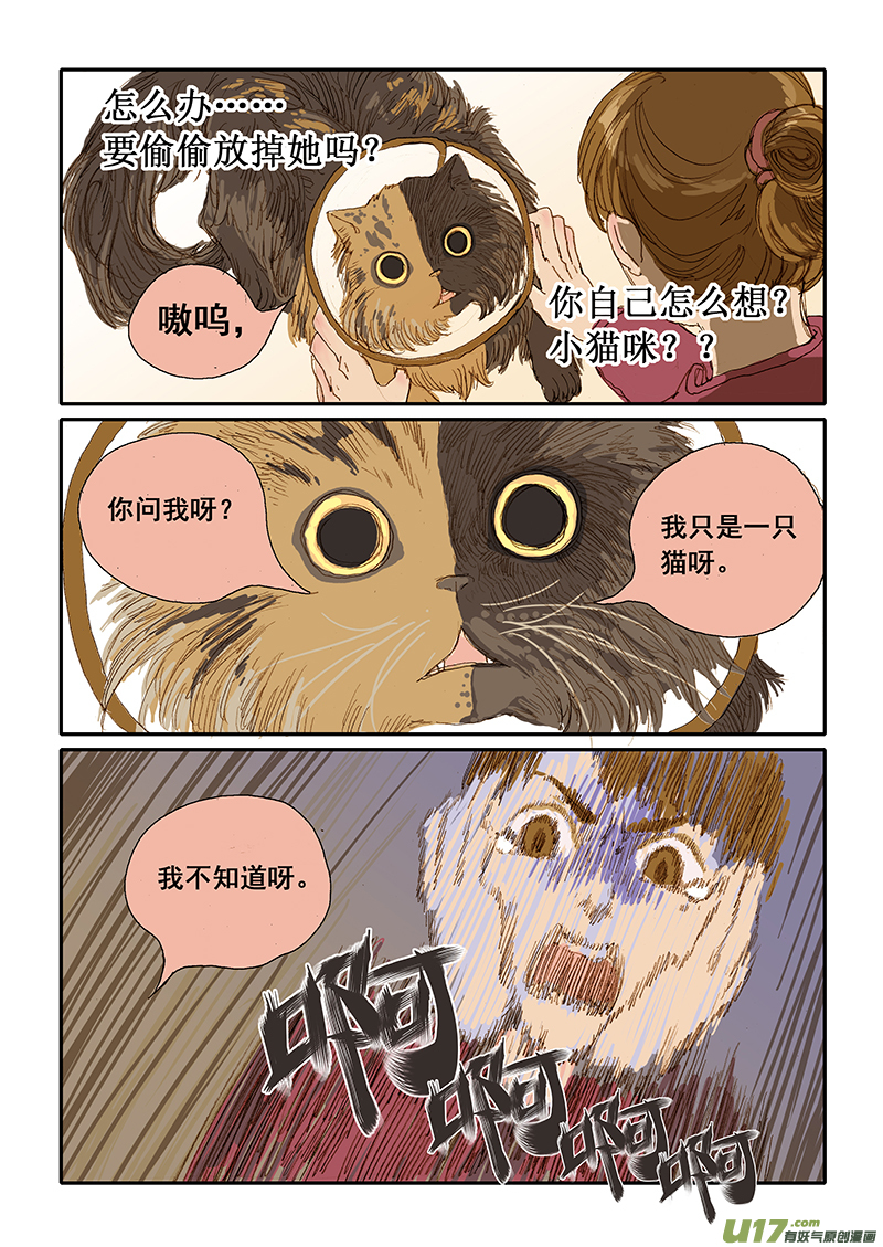 《百足宠物诊所》011 流浪动物TNR 第7页