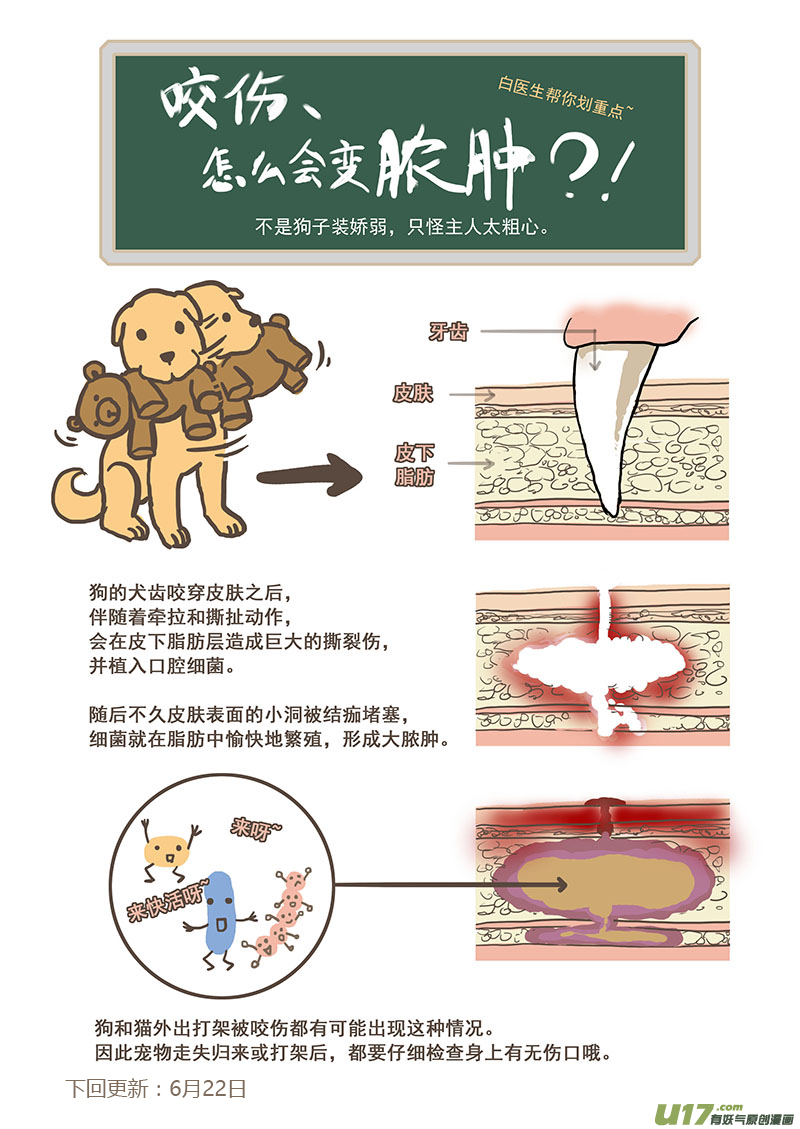 《百足宠物诊所》010 咬伤皮下脓肿 第12页