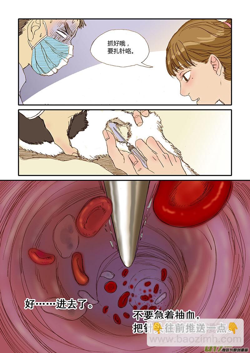 《百足宠物诊所》010 咬伤皮下脓肿 第7页