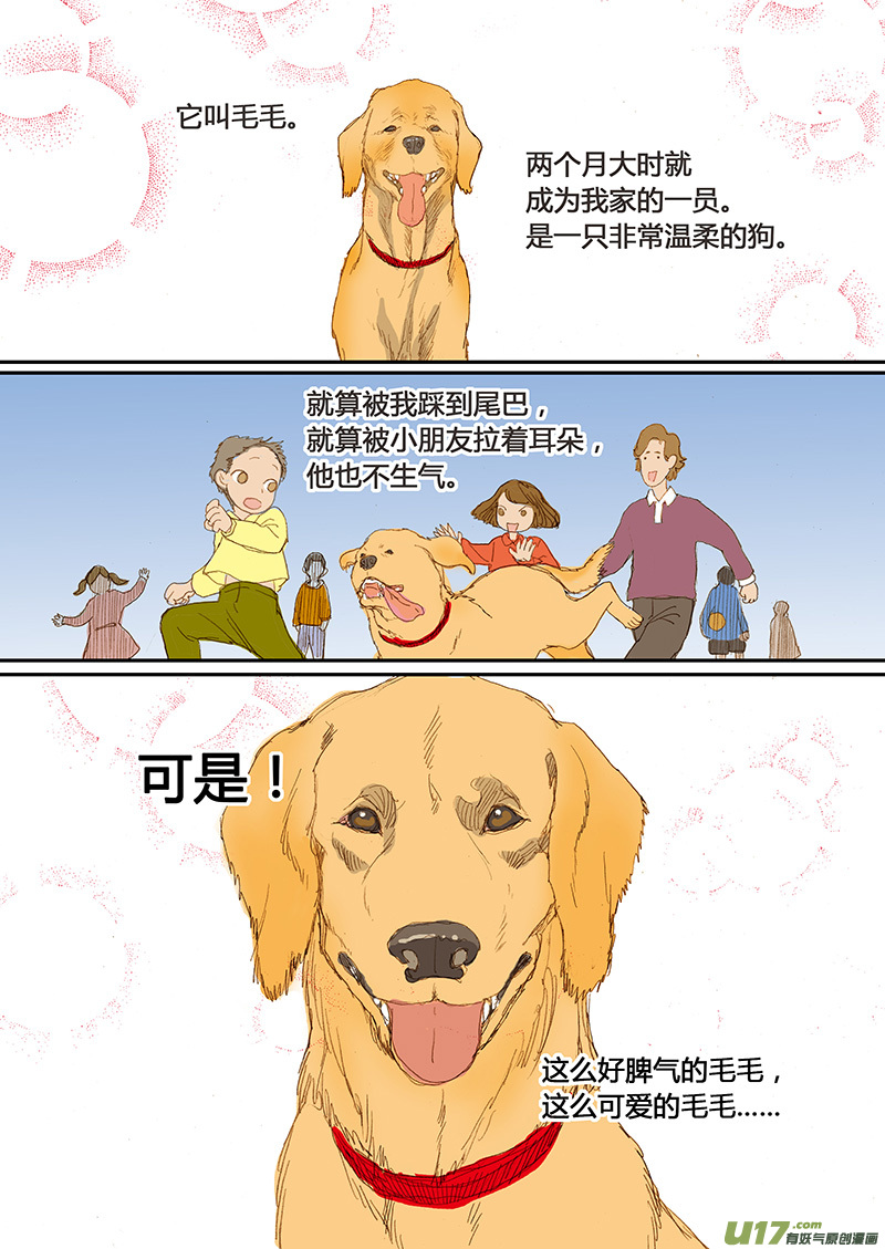 《百足宠物诊所》016 咬伤清创和引流管放置 第1页