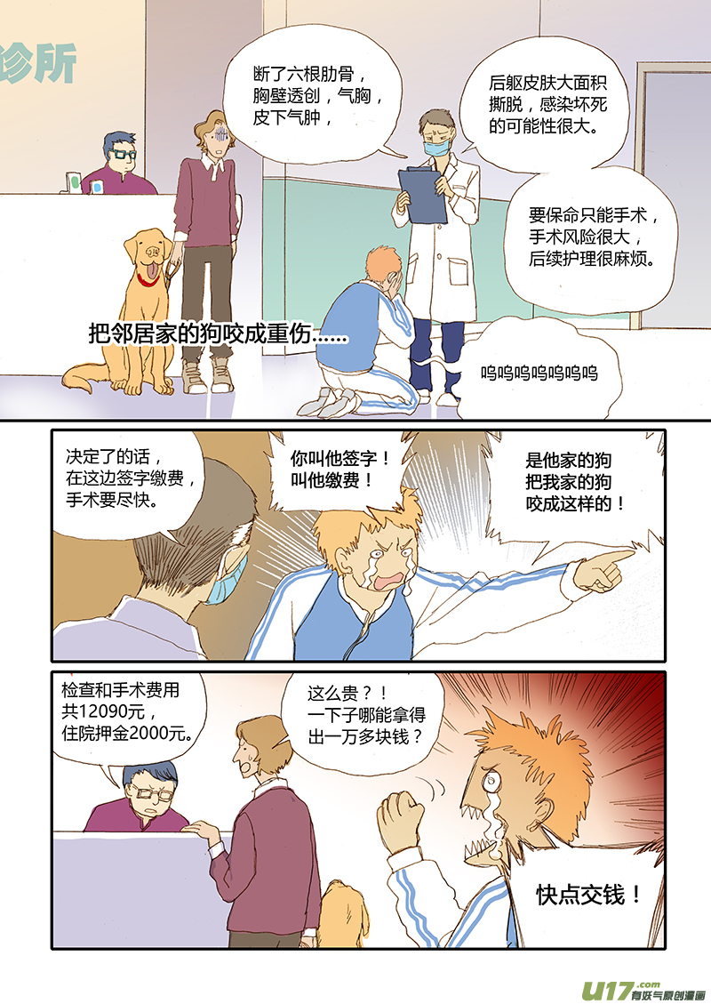 《百足宠物诊所》016 咬伤清创和引流管放置 第2页