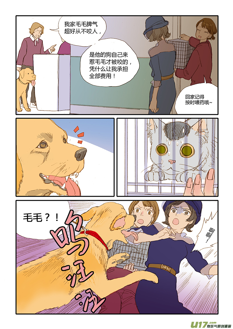 《百足宠物诊所》016 咬伤清创和引流管放置 第3页