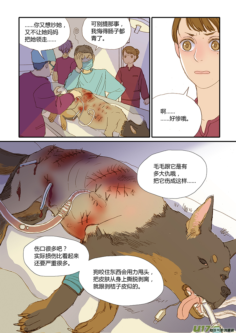 《百足宠物诊所》016 咬伤清创和引流管放置 第5页