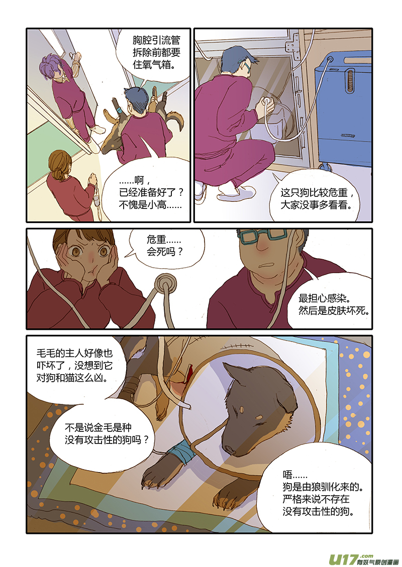 《百足宠物诊所》016 咬伤清创和引流管放置 第6页