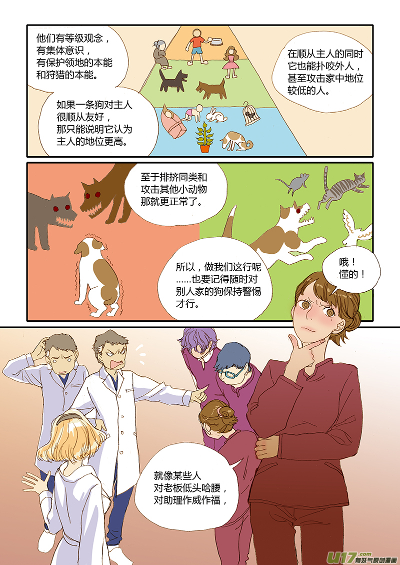 《百足宠物诊所》016 咬伤清创和引流管放置 第7页