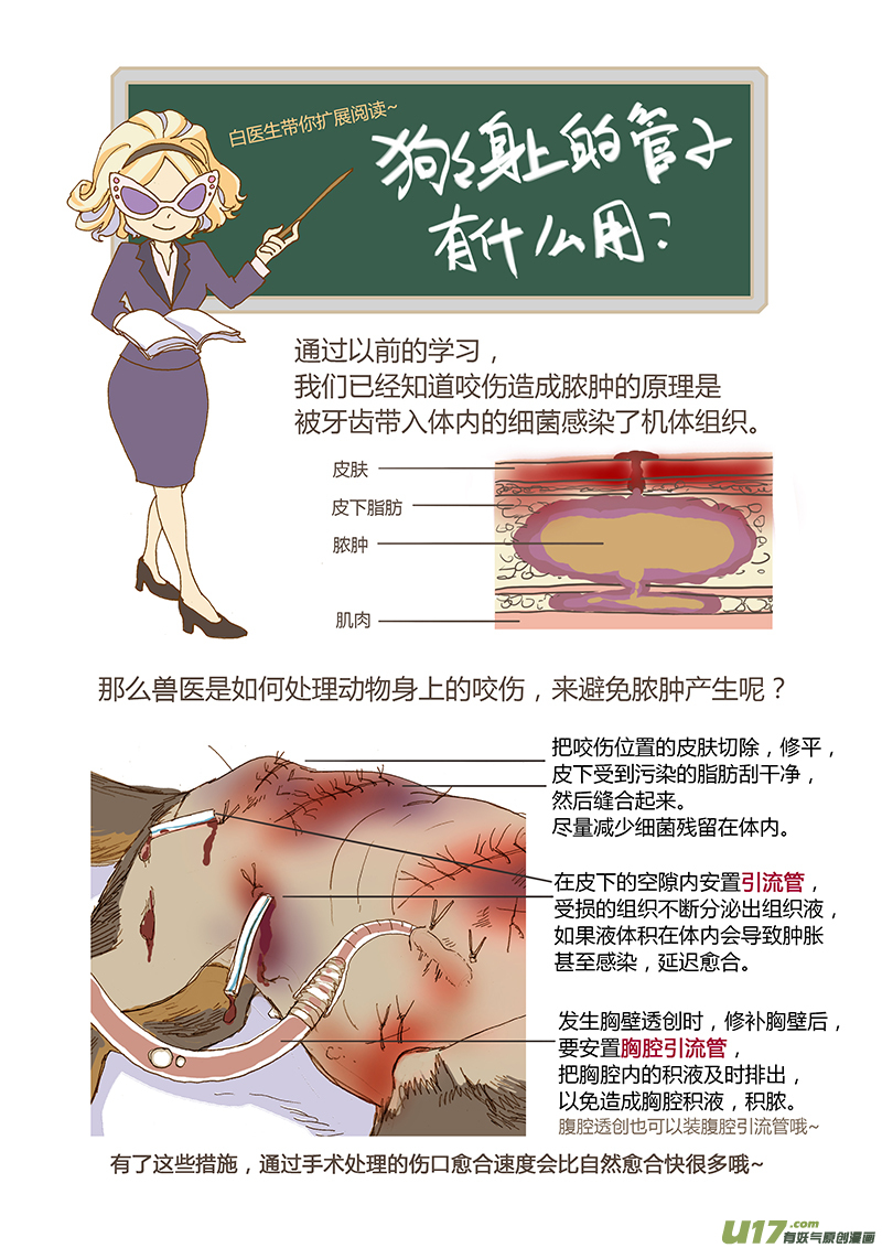 《百足宠物诊所》016 咬伤清创和引流管放置 第9页