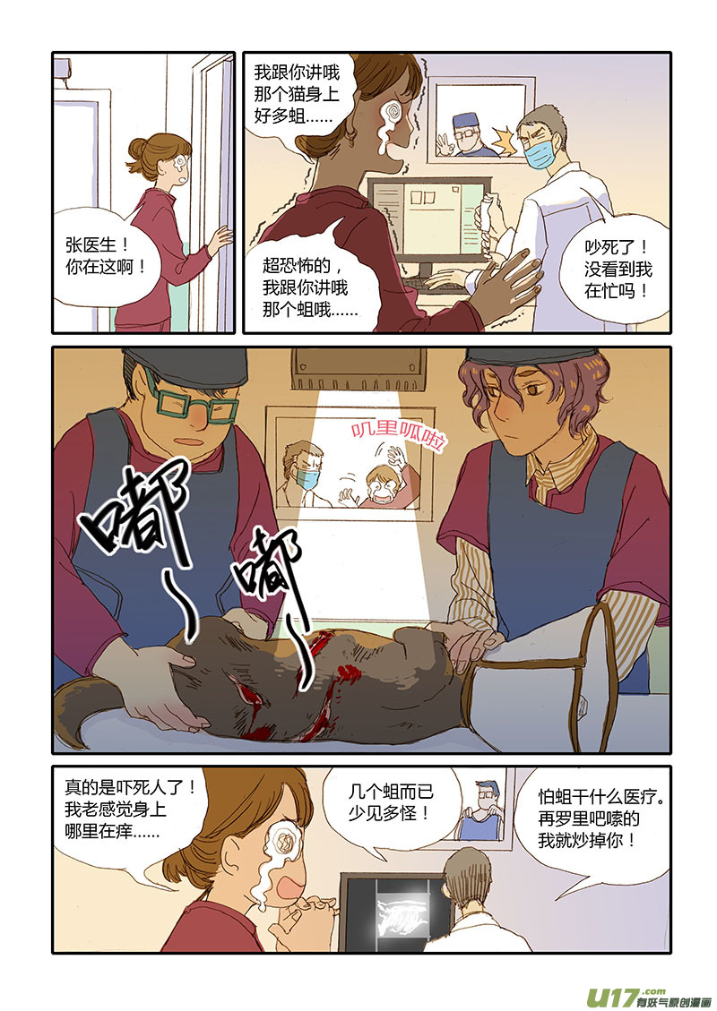 《百足宠物诊所》015 蝇蛆 第9页