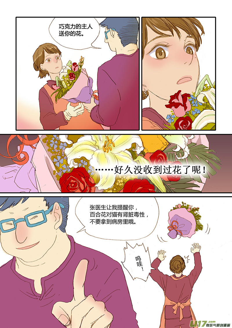 《百足宠物诊所》022 猫细小病毒（猫瘟） 第12页
