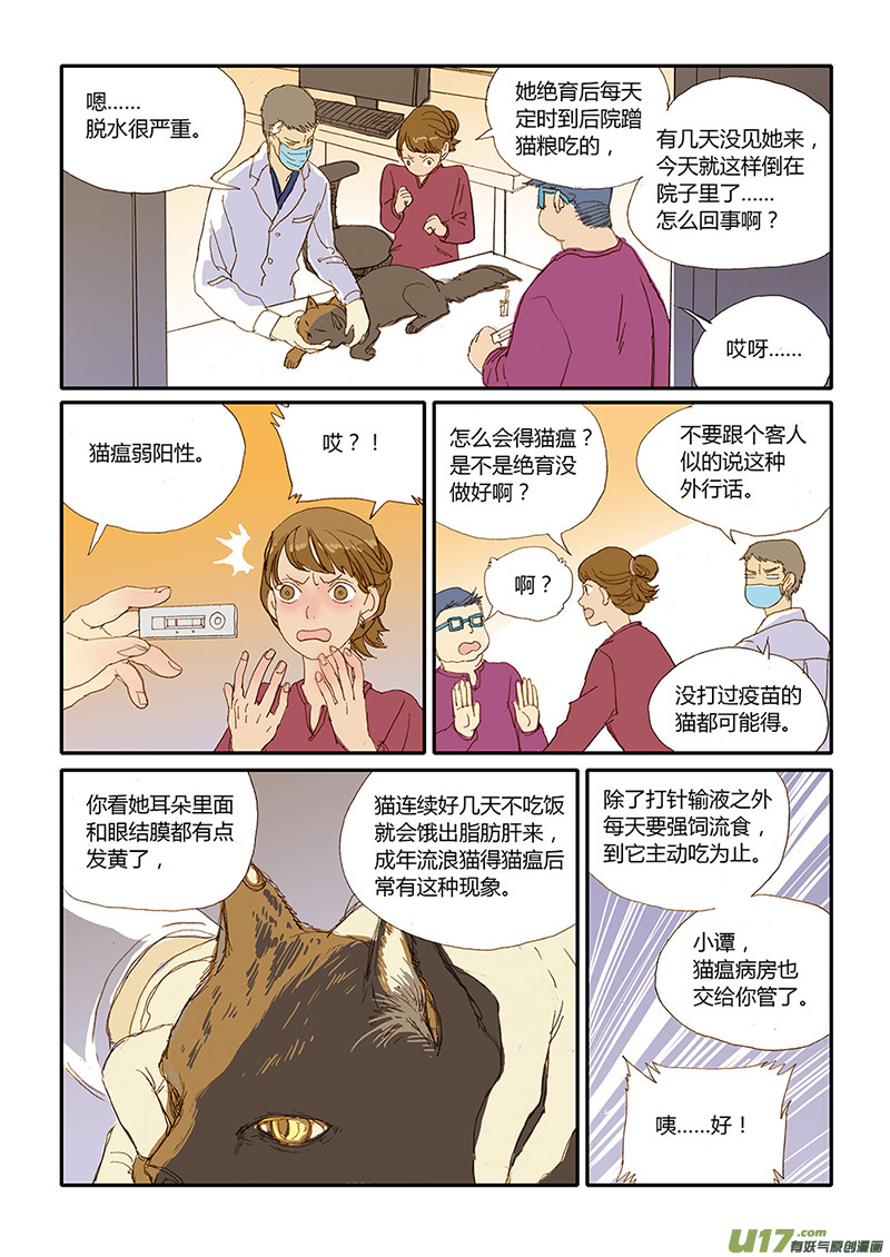 《百足宠物诊所》022 猫细小病毒（猫瘟） 第3页