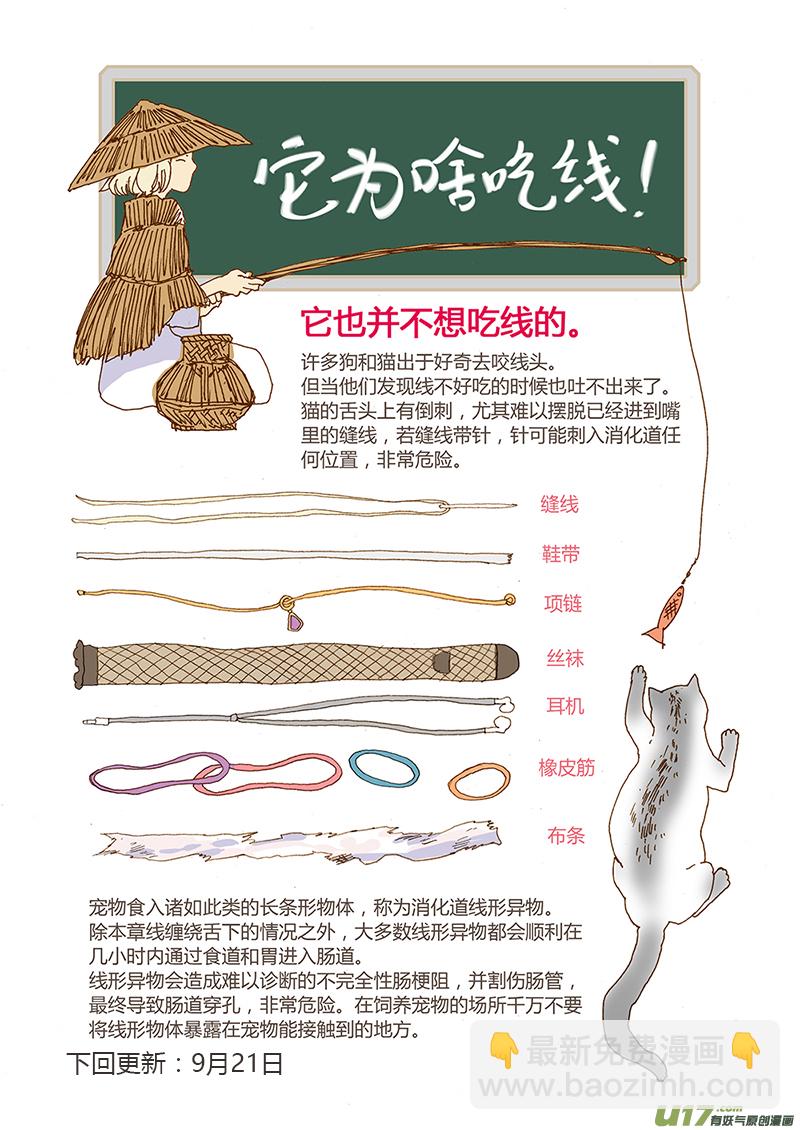 《百足宠物诊所》023 线性异物（猫吞食针线） 第10页