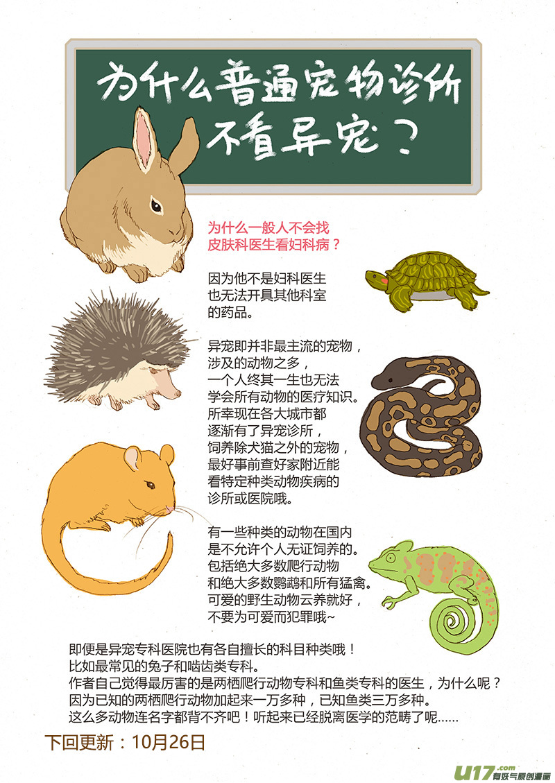 《百足宠物诊所》028 水龟白眼病 第11页