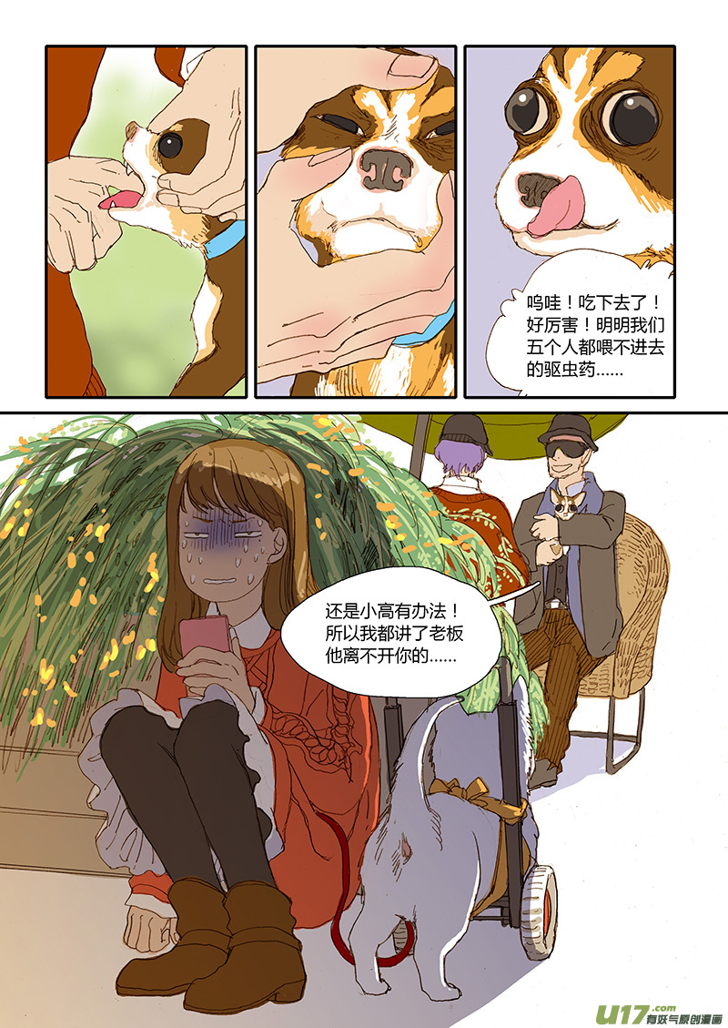 《百足宠物诊所》027 口服药投喂 第10页