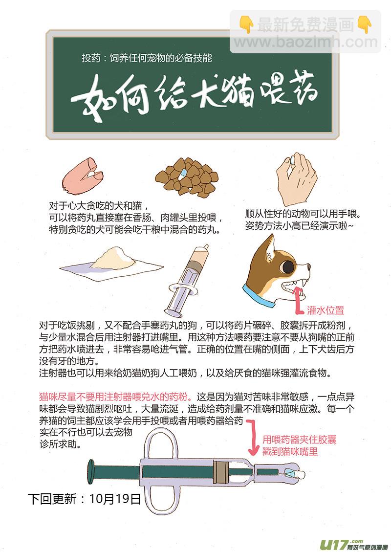 《百足宠物诊所》027 口服药投喂 第11页