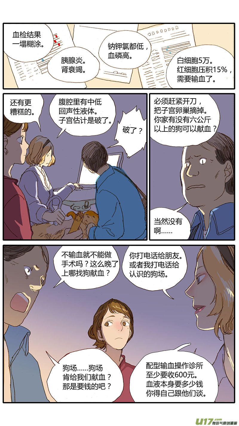 《百足宠物诊所》032 犭子宫蓄脓 第3页