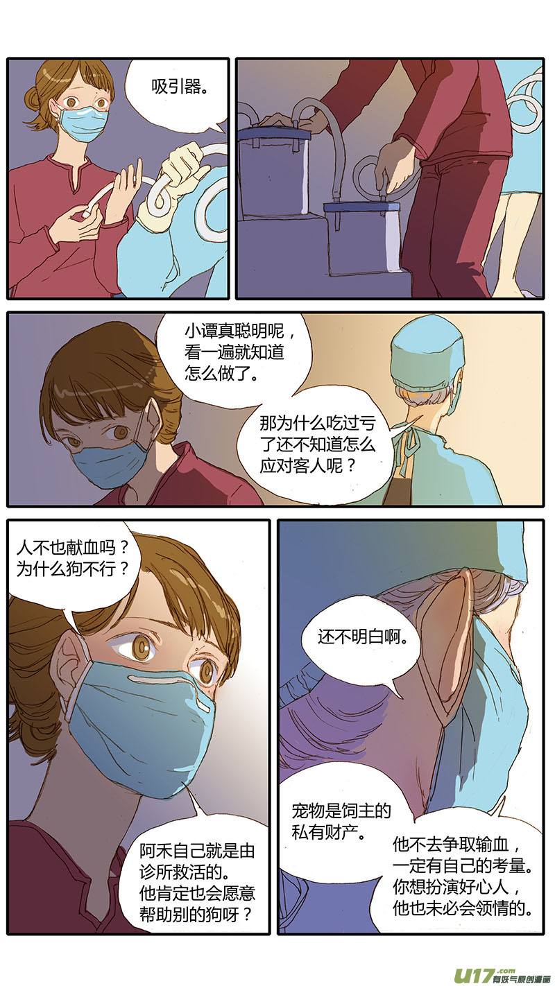 《百足宠物诊所》032 犭子宫蓄脓 第7页