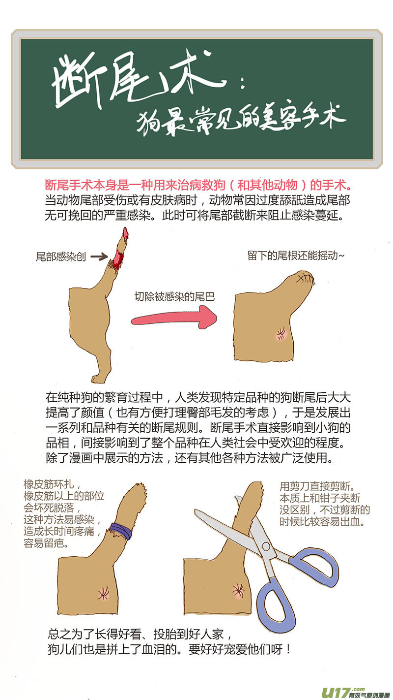 《百足宠物诊所》031 仔犭断尾 第12页
