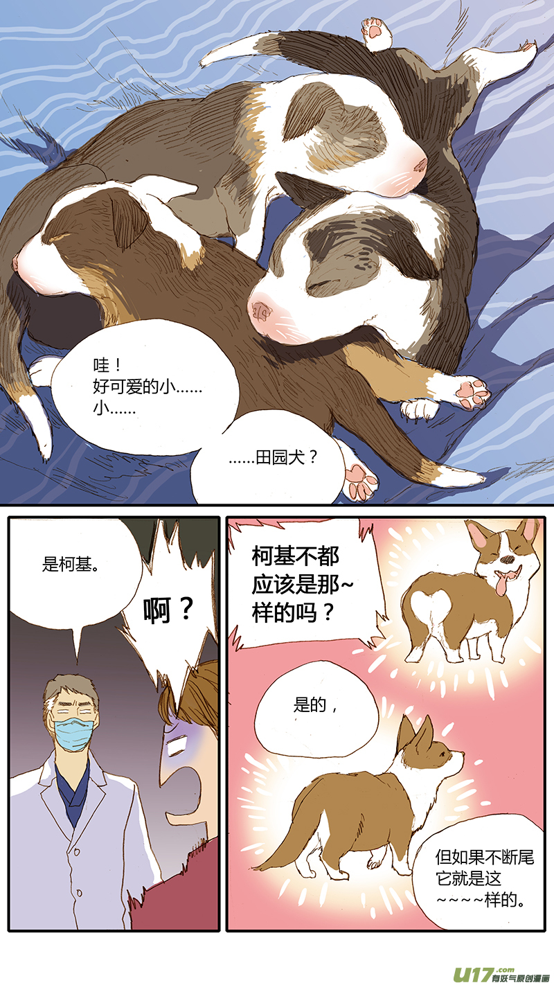 《百足宠物诊所》031 仔犭断尾 第7页