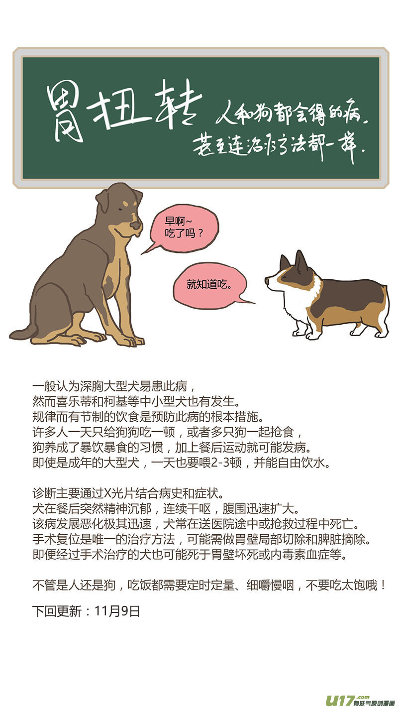 《百足宠物诊所》030 犭胃扭转 第11页