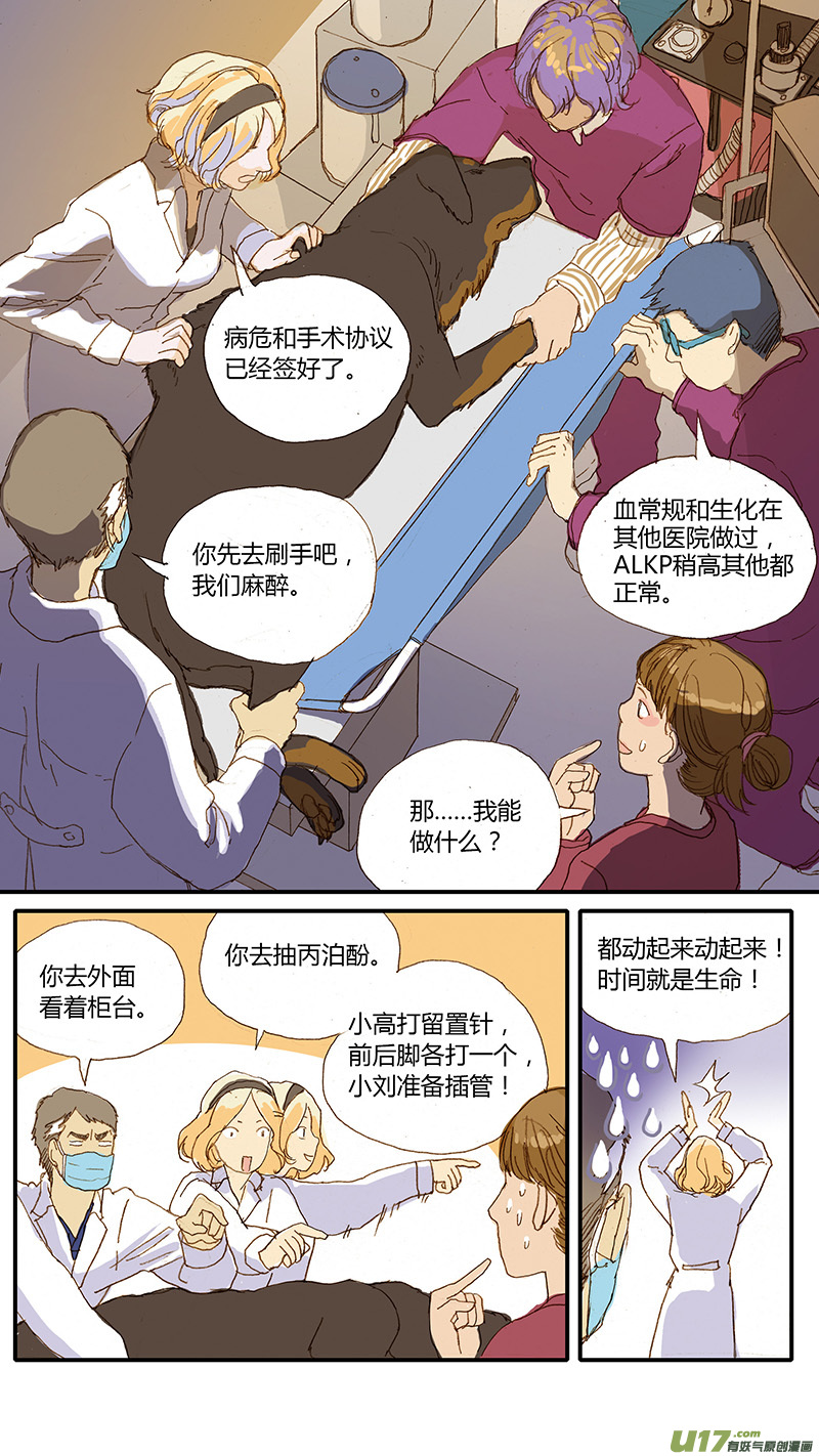 《百足宠物诊所》030 犭胃扭转 第3页