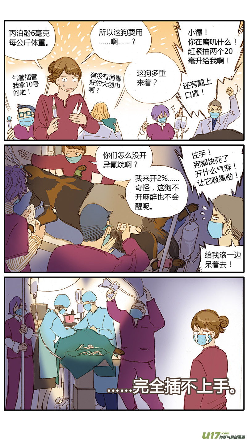 《百足宠物诊所》030 犭胃扭转 第4页