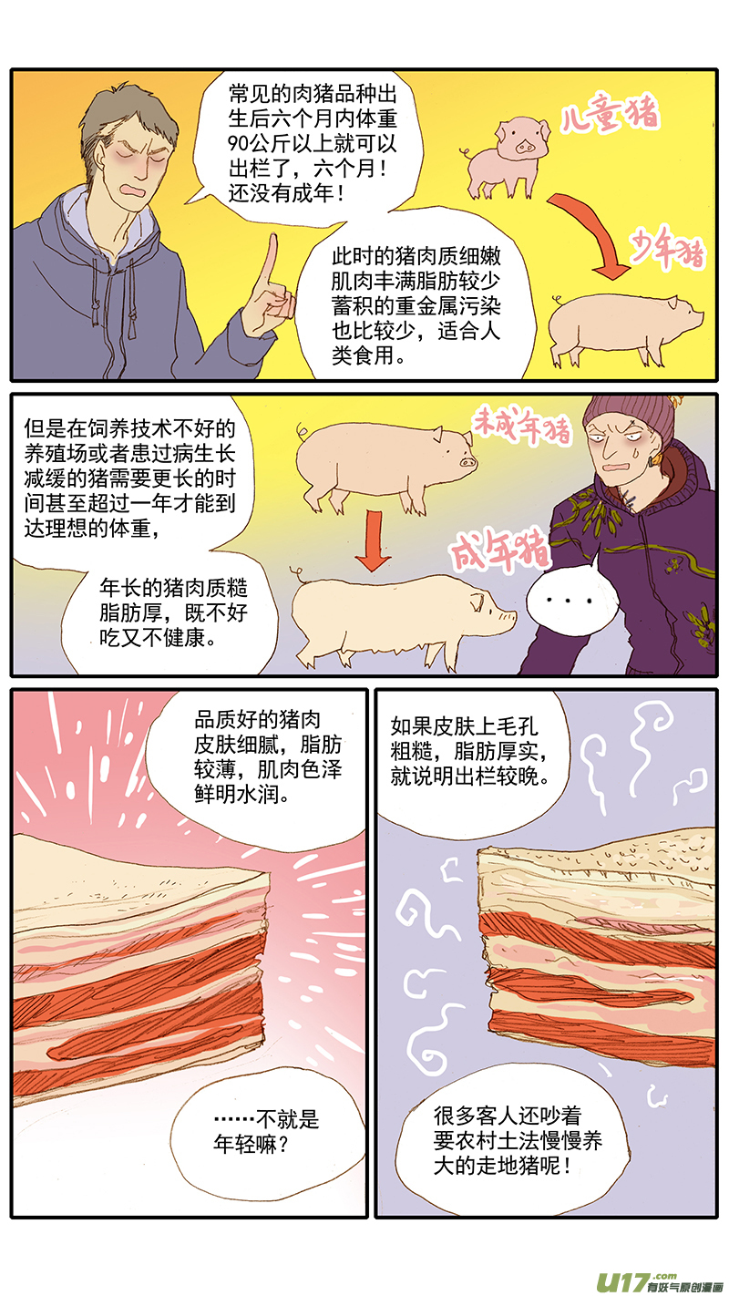 《百足宠物诊所》035 挑选猪肉的技巧 第5页