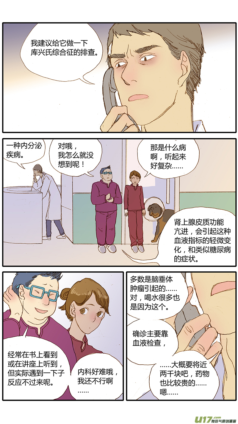 《百足宠物诊所》033 犭库欣氏症 第8页