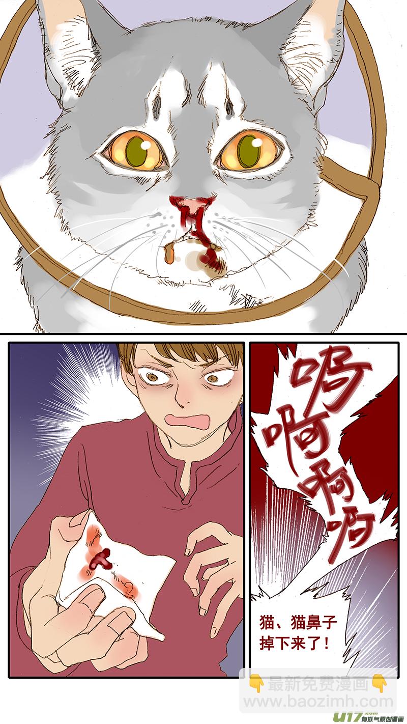 《百足宠物诊所》037 猫杯状病毒 第10页