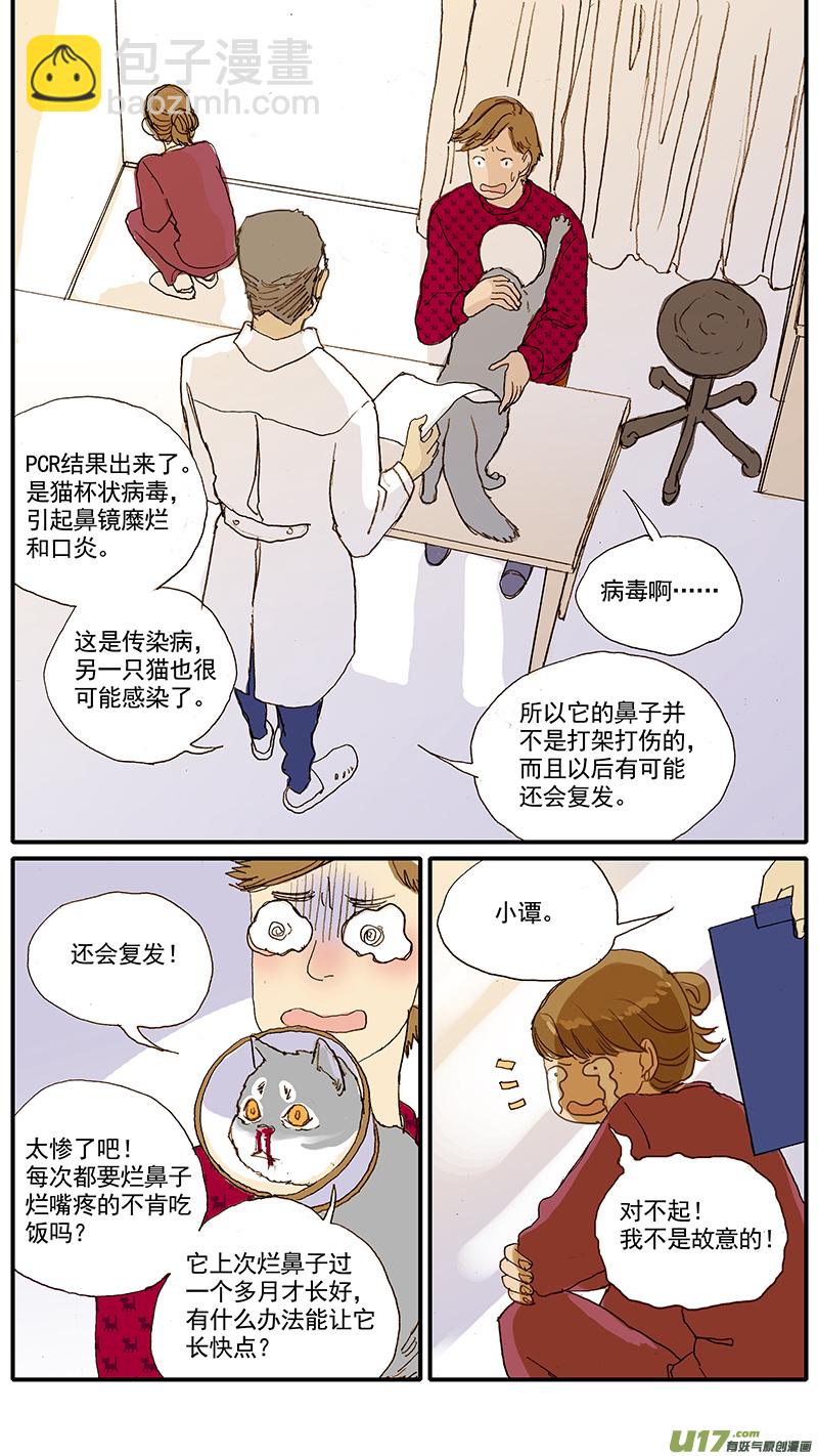 《百足宠物诊所》037 猫杯状病毒 第11页