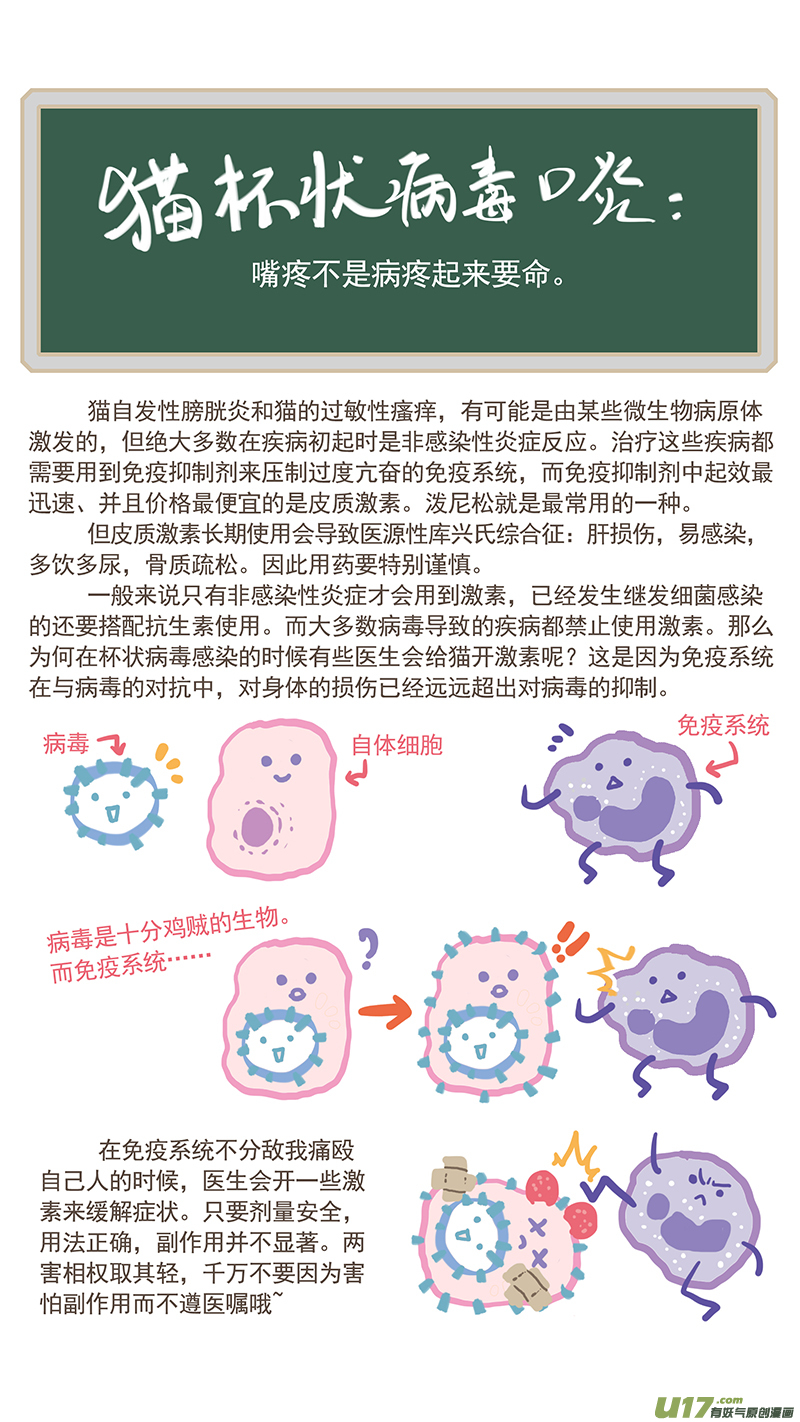 《百足宠物诊所》037 猫杯状病毒 第13页