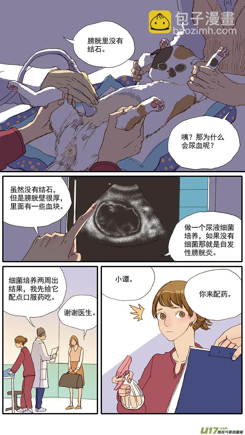 《百足宠物诊所》037 猫杯状病毒 第3页