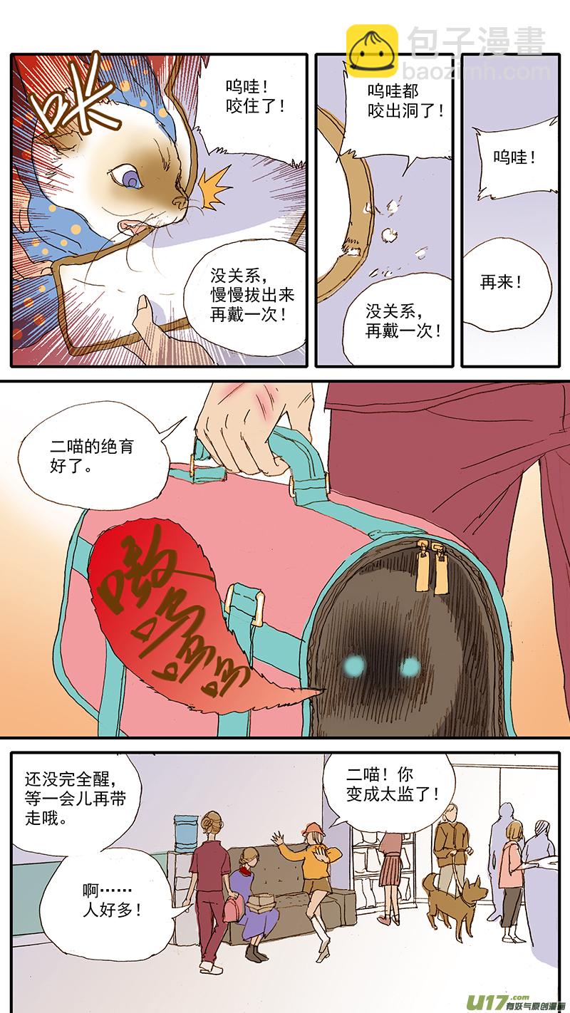 《百足宠物诊所》042 绝育手术对动物性格的影响 第6页