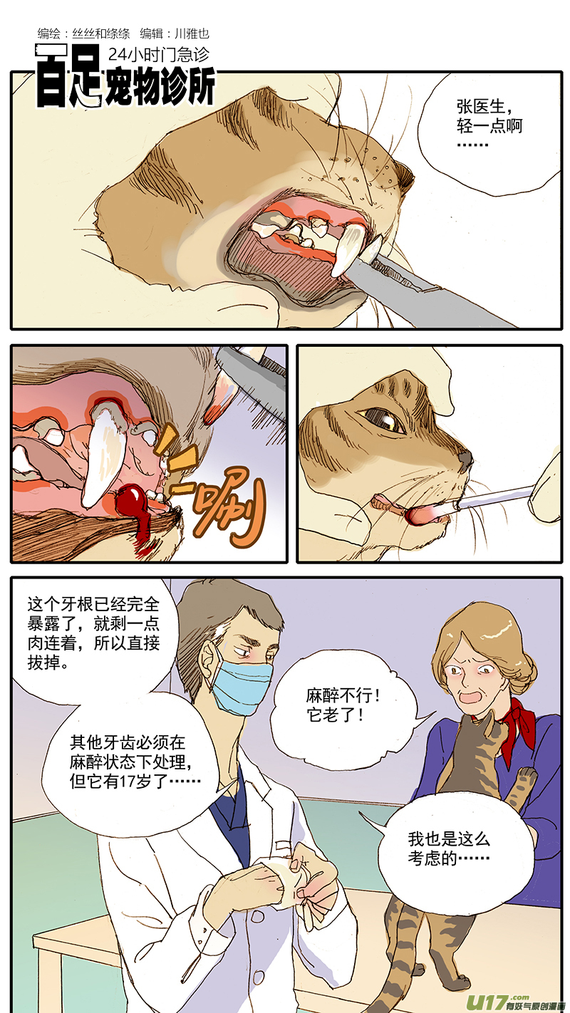 《百足宠物诊所》043 动脉导管未闭 第1页